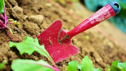 Opiniones de Centros de jardinería en Uruguay