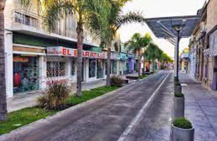 Opiniones de servicios en Flores