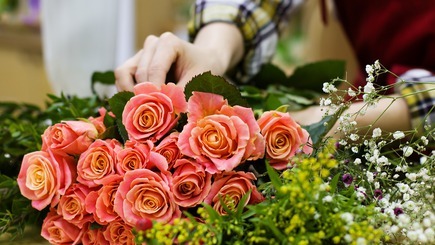Opiniones de Floristerías en Uruguay